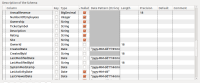 salesforce_schema_import_with_attributes.png